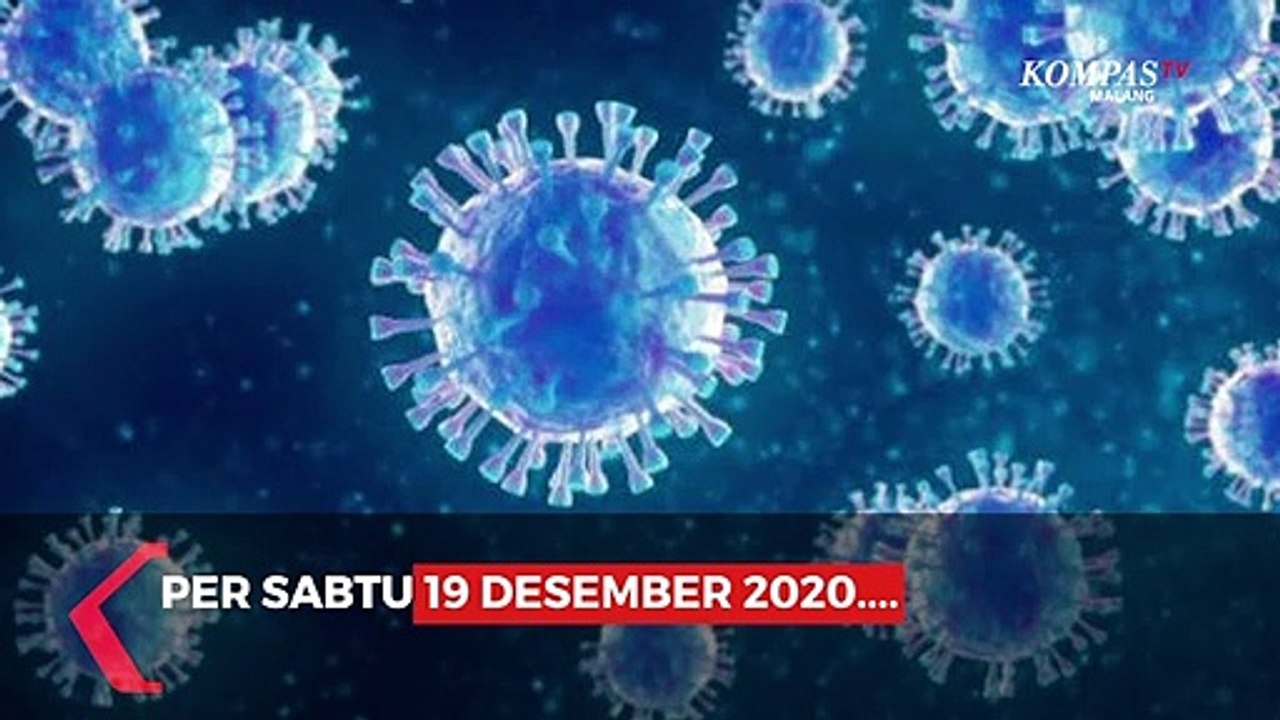 Data Covid-19 Kota Malang 19 Desember 2020
