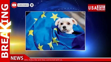 British pets travelling to EU will soon need new document