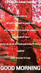 Shayari Status Video||Shayari Video||Short Video