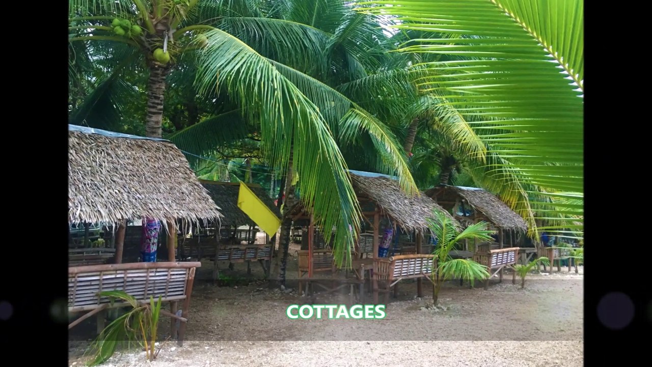 Ocean View Beach Resort in Catmon Cebu North | aRVees Blog