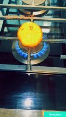 ديمة بياعة تعلن عن إصابتها بكورونا بطريقة مختلفة