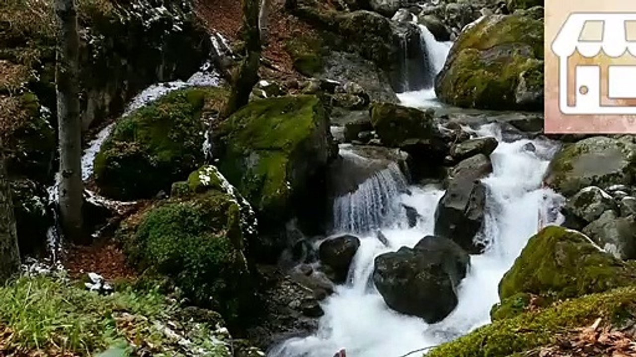 Beautiful natural video