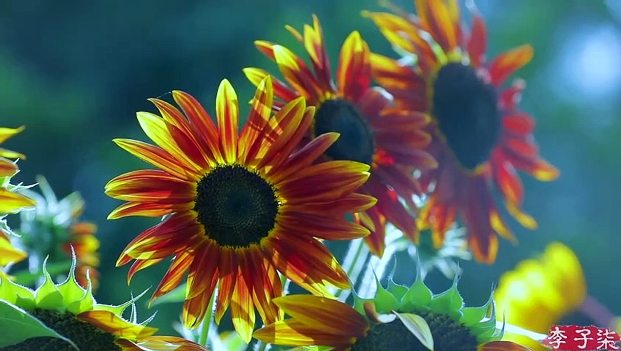 Using bamboo to make some sophisticated old furniture - Bamboo Sofa