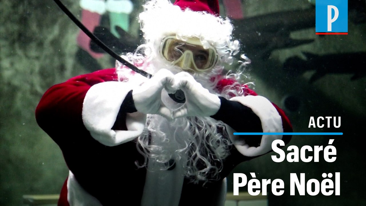 Cascadeur, plongeur, policier... le Père Noël dans tous ses états