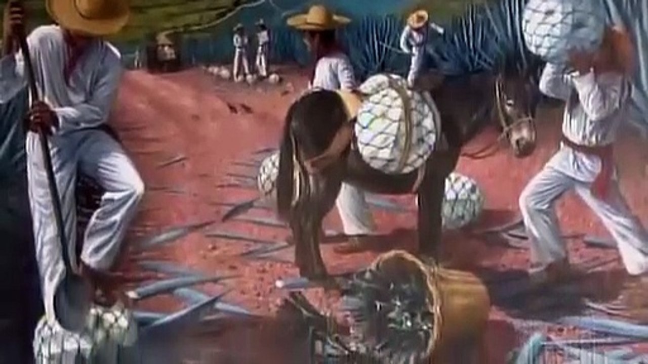 How Its Made - 800 Tequila
