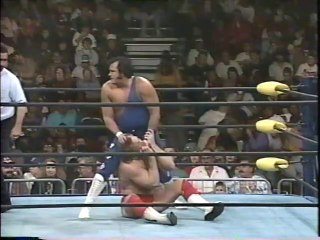 Honky Tonk Man vs. Brad Armstrong [1994-12-25]