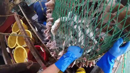 Encallados en las procelosas aguas del Brexit