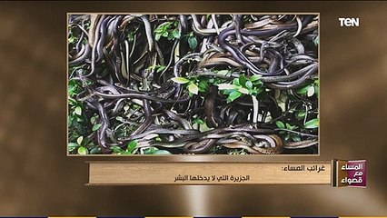 المساء مع قصواء | الجزيرة التي لا يدخلها البشر