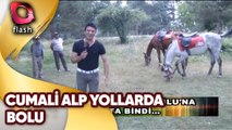 Cumali Alp Yollarda | Bolu