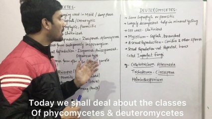 Kingdom Fungi(Part:5)-Class: Phycomycetes & Deuteromycetes(General Characteristics) Subtitiles ADD