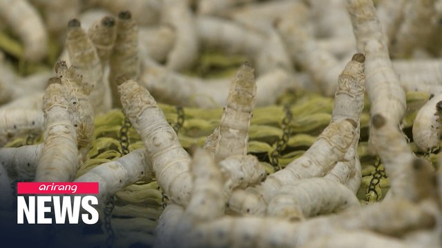 Silkworms found to be effective against Parkinson's disease