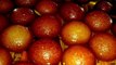 Gits gulab jamun recipe