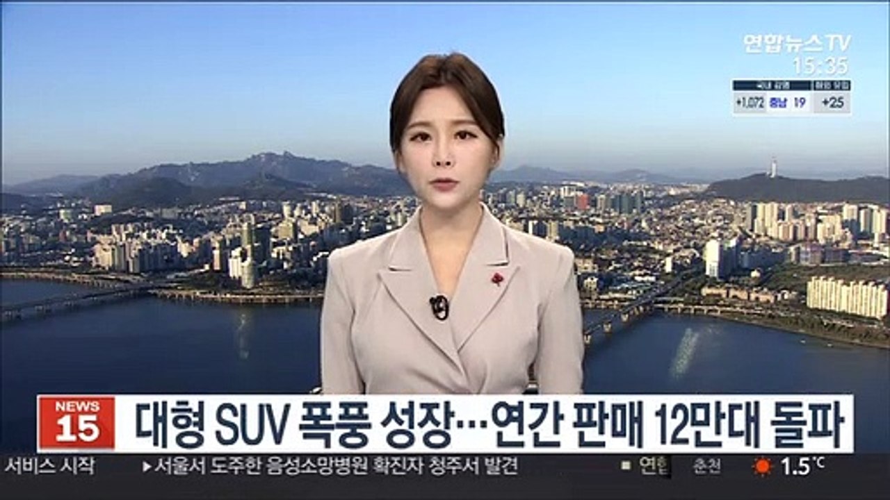 대형 SUV 폭풍 성장…연간 판매 12만대 돌파