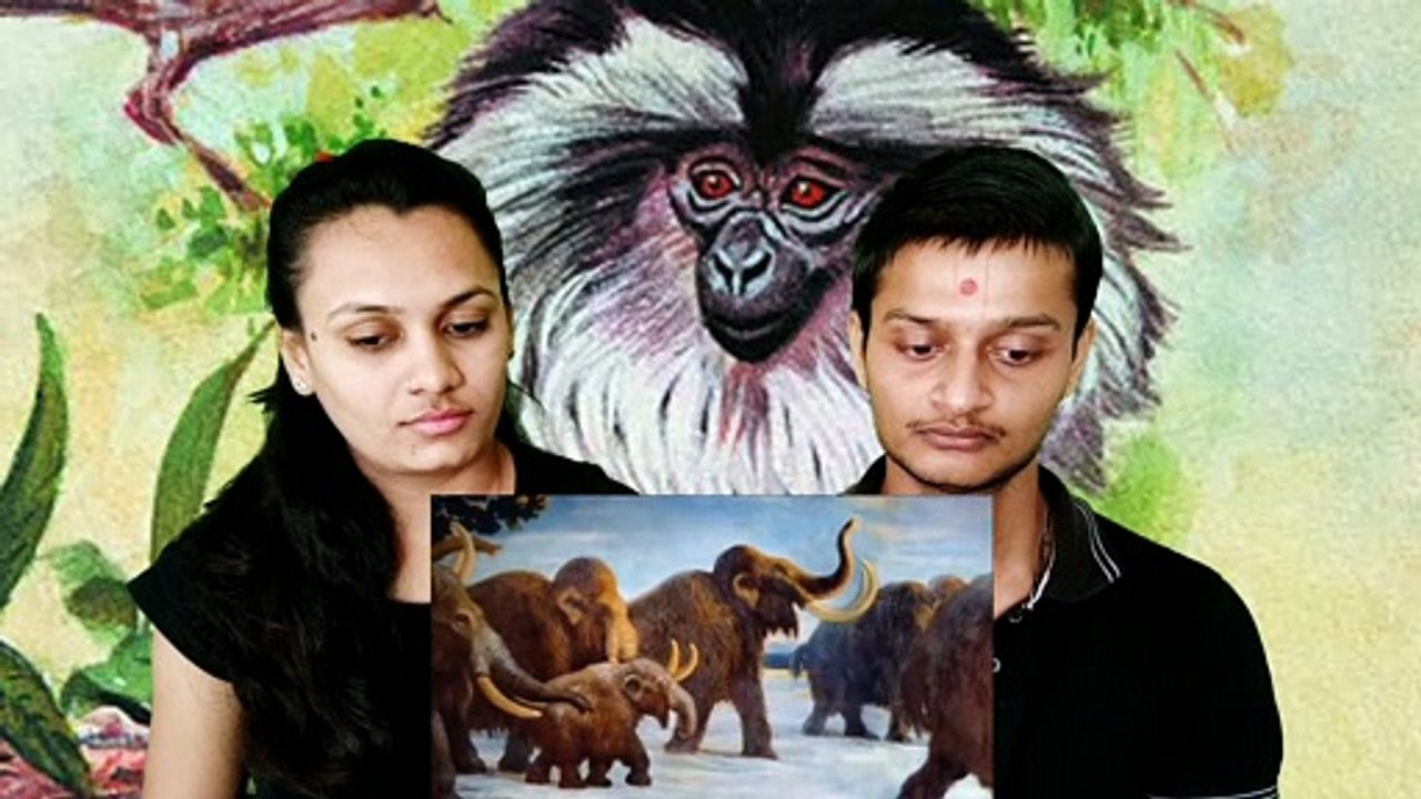 Reaction Makers | Top Extinct animal and bird species information | दुनिया की 5 विलुप्त प्रजातियां