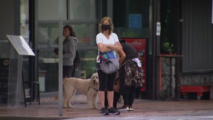 호주, 북부 해변 봉쇄령 이어 시드니 전역 '모임 제한' / YTN