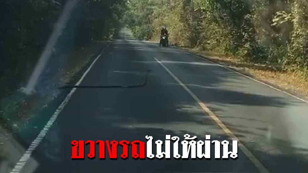หนุ่มตะลึง จู่ ๆ เจองูจงอางยักษ์เลื้อยขวางถนน ชูคอแผ่แม่เบี้ยไม่ให้รถผ่าน