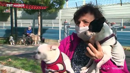 İzmirli çift, terk edilen kedi ve köpekleri sahipleniyor