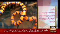 Amazing Dunya | ARYNews | 20 December 2020