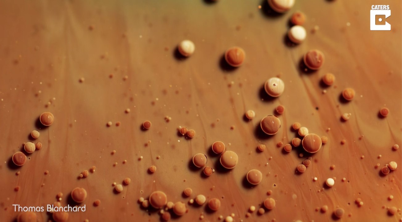 Faszinierende Makro-Aufnahmen: Kaffee mal anders