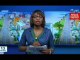 Miniature DailyMotion