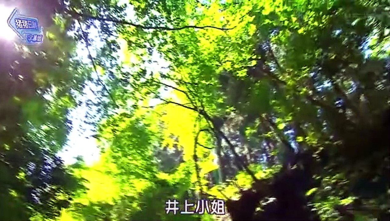 家有六子 第8集