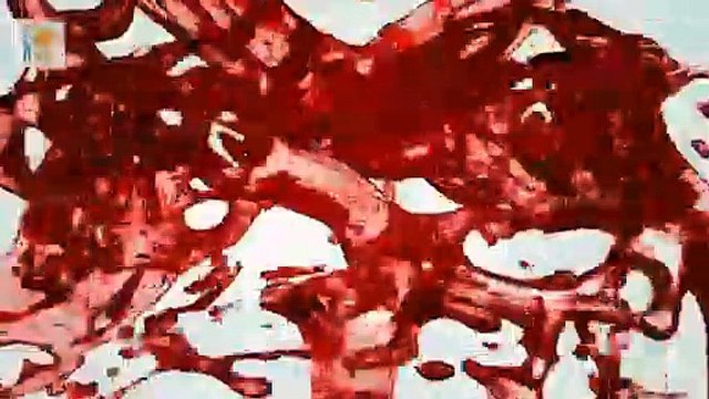 असली जलपरियां ‍♀️‍♀️कैमरे में हुई कैद | Top 5 Real Mermaids Caught on camera |