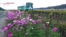 JR 95 - Chemin de fer Tenryu Hamanako: Travailler avec la communauté pour revitaliser le chemin de fer
