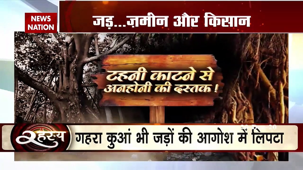 Mystery Unlocked : Exploring 500-year mystery associated with oak tree