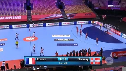 Handball - Euro (F) : La Norvège brise le rêve des Bleues