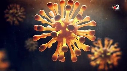 Coronavirus : ce qu'il faut savoir sur la mutation découverte au Royaume-Uni