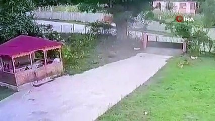 Seyir halindeyken arının soktuğu traktör sürücüsü hayatını kaybetti