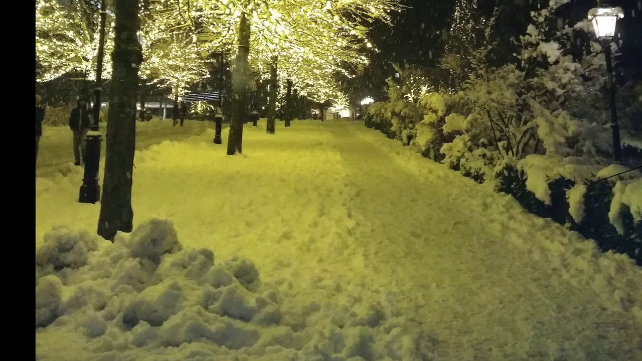 Besinnung im Advent XX