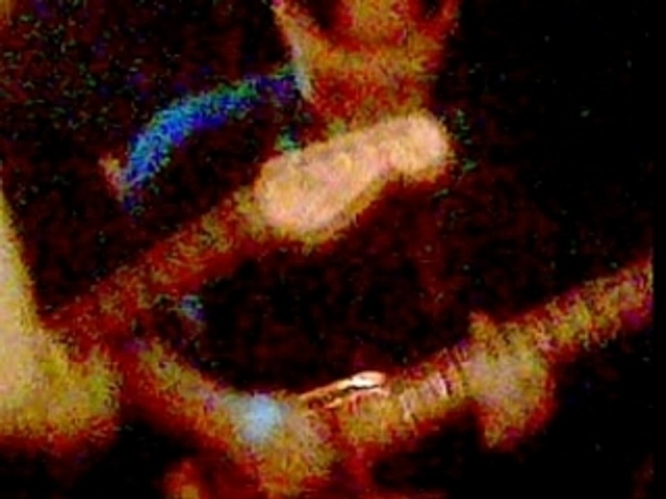 Concerttapres l heure