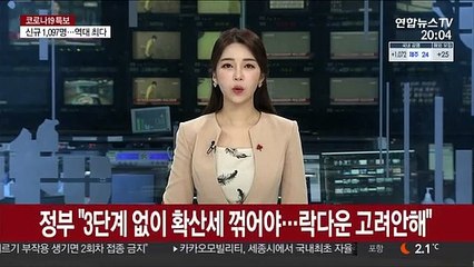 정부 "3단계 없이 확산세 꺾어야…락다운 고려안해"