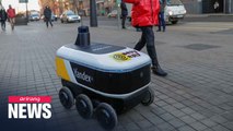 Rover robot ships takeaway meals, turns heads and prompts smiles in Moscow