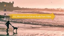 [100% Free] Extract Audio from Video Using VLC Media Player