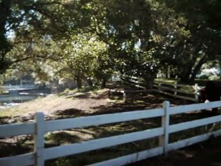 Misión Imposible -1x17- The Frame (La conspiración)