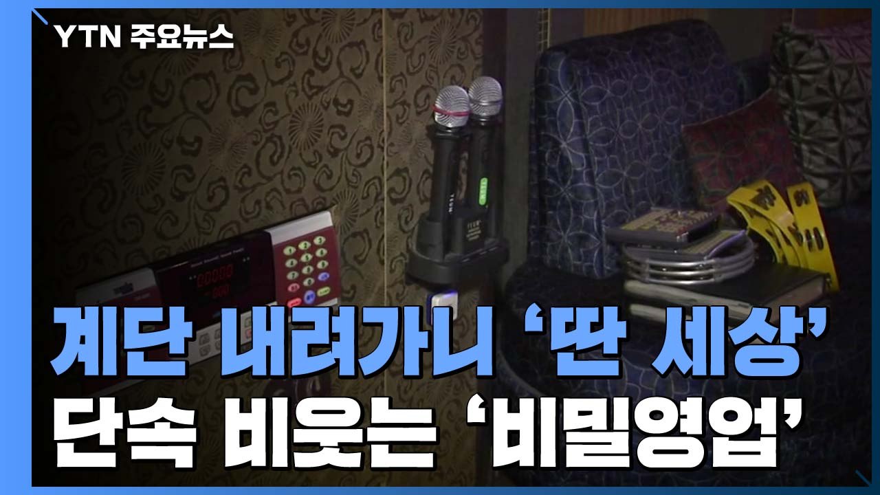 계단 아래에서는 술과 성매매가...단속 비웃는 '비밀영업' / YTN