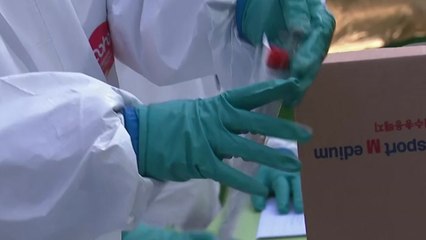 [더뉴스-더인터뷰] 사망 24명 최다...이번 주 확산세 반전될까? / YTN