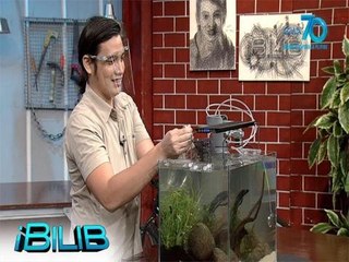 iBilib: Meet the aquascape artist Michael Steven Yap