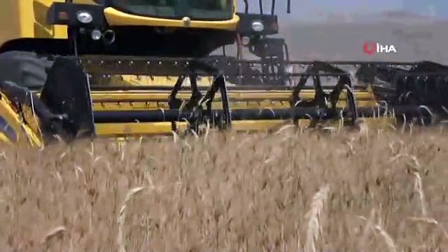 Kışın yağan kar, buğday üreticisinin yüzünü güldürdü