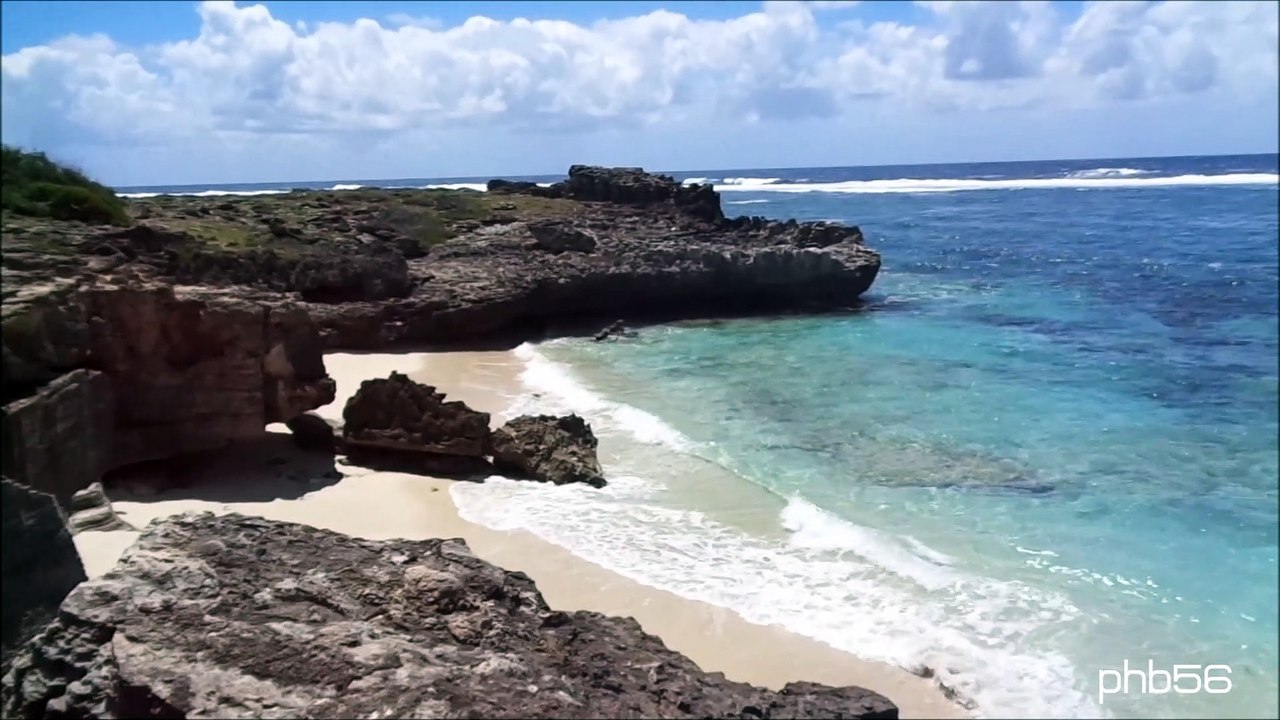 RODRIGUES: Dans Torrent