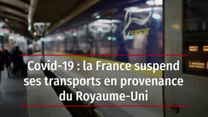 Covid-19 : la France suspend ses transports en provenance du Royaume-Uni