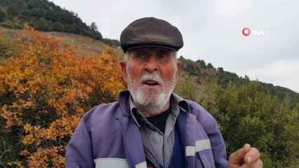 Korona virüsü fırsat bilen uyanıklar, devlet arazilerine kondu