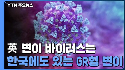 "英 변이 바이러스는 한국에도 있는 GR형 변이...전염성 강한 변이 가능성" / YTN