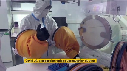 Coronavirus : une intrigante mutation du virus au Royaume-Uni