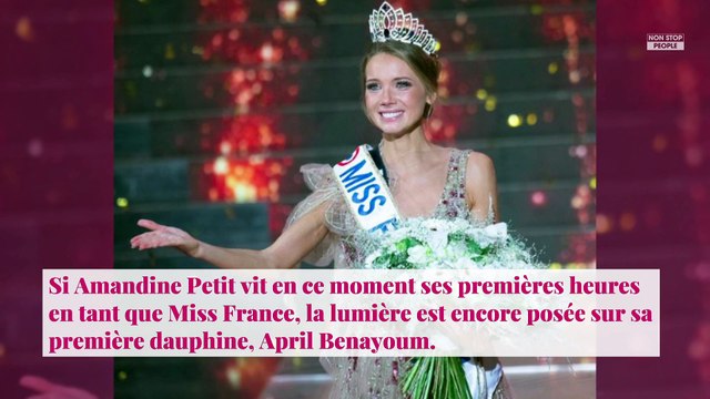 Miss France 2021 : Ségolène Royal condamne les propos antisémites contre Miss Provence