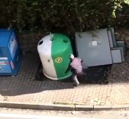 Sinirden önüne geleni tekmeledi