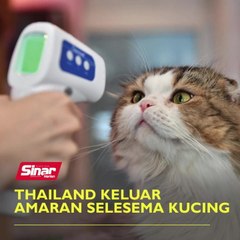 Thailand keluar amaran selesema kucing