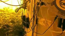 Cannabis farm raid in Blackpool